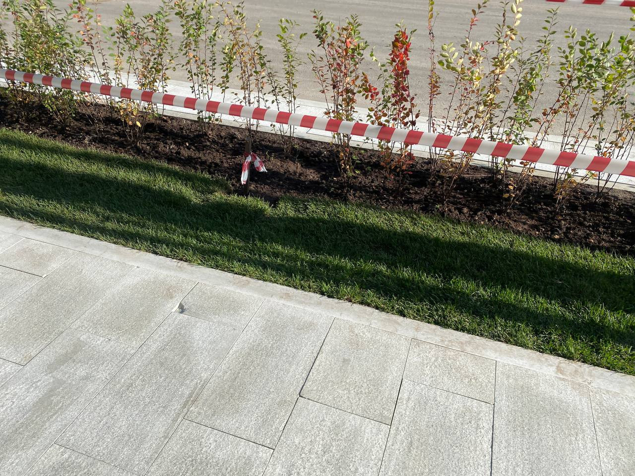 https://surgut.blago-s.ru/storage/app/uploads/public/68b/fb1/6c6/68bfb16c6680d958739657.jpeg